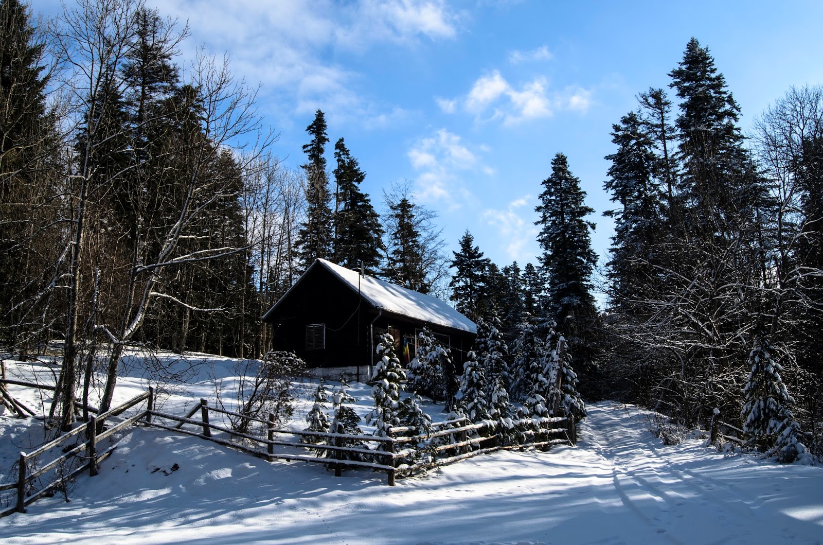 Cârneala - foto 1
