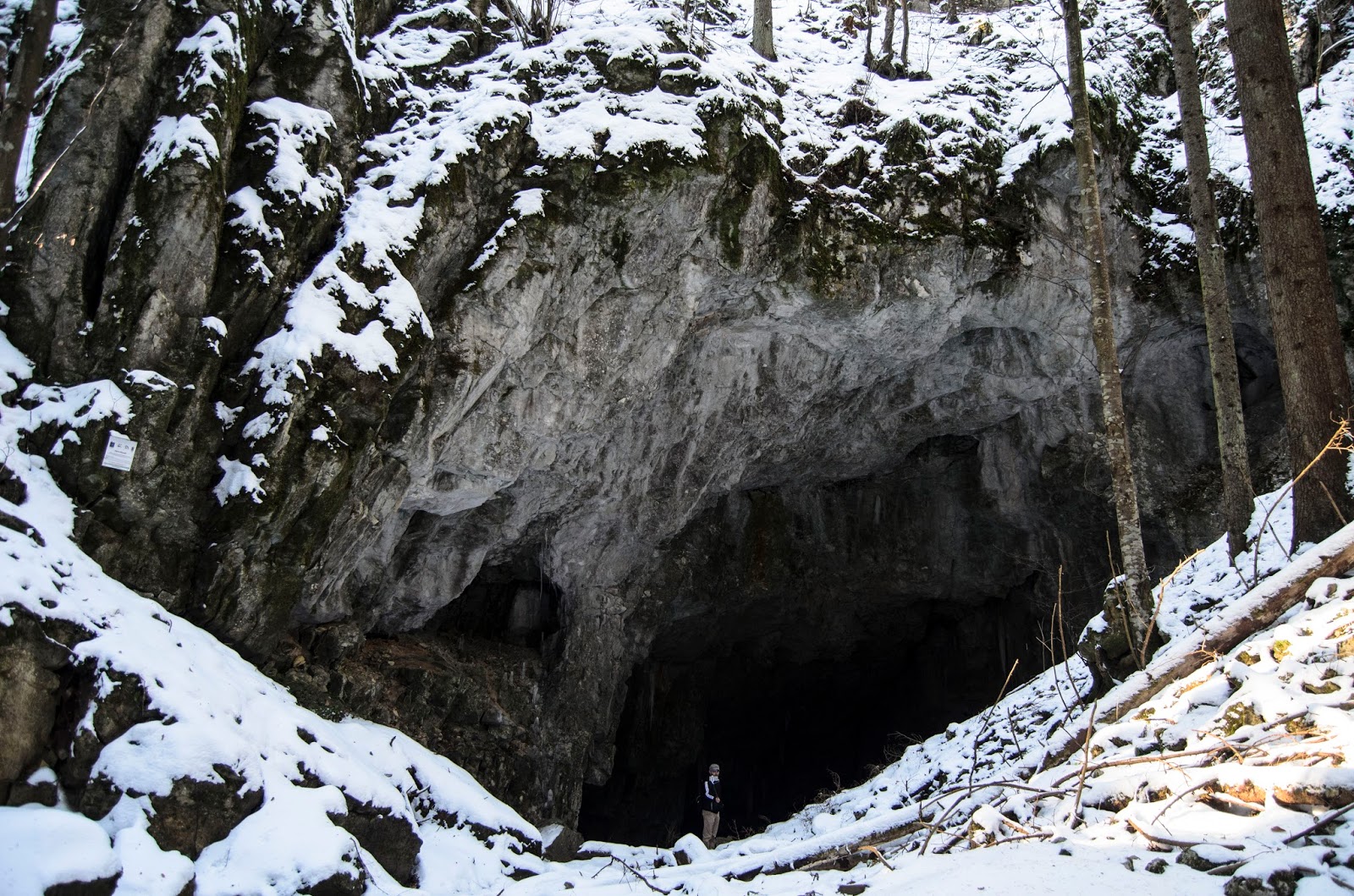 Cârneala - foto 5